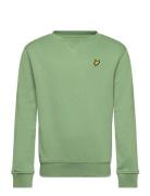 Crew Neck Sweatshirt Tops Sweatshirts & Hoodies Sweatshirts Green Lyle...