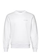 Emerson Designers Sweatshirts & Hoodies Sweatshirts White Tiger Of Swe...