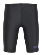 Boys Plastisol Placement Jammer Sport Swimshorts Black Speedo