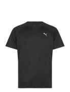 M Run Velocity Tee  Sport Men Sports Clothes Sport Tops Sport T-Skjort...