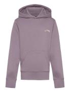 Arch Po Lt Sport Sweatshirts & Hoodies Hoodies Purple Billabong