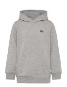 Po-Pull-Over Hoody Tops Sweatshirts & Hoodies Hoodies Grey Levi's