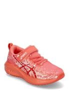 Pre Noosa Tri 16 Ps Shoes Sports Shoes Running-training Shoes  Asics