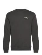 Arch Cr Lt Sport Men Sport Clothing Sport Sweatshirts & Hoodies Sport ...