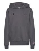 Hooded Sweatshirt Tops Sweatshirts & Hoodies Hoodies Grey Champion