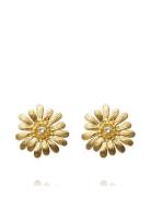 Daisy Earrings Gold Ørestickere Smykker Gold Caroline Svedbom