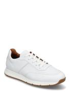 Amsterdam Low-top Sneakers White Lloyd