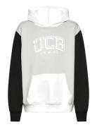 Sweater W/Hood Tops Sweatshirts & Hoodies Hoodies Grey United Colors O...