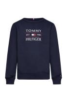 Tommy Flag Hilfiger Sweatshirt Tops Sweatshirts & Hoodies Sweatshirts ...