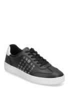 Scotty Lace Up Low-top Sneakers Black Michael Kors