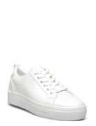 Meadow Low-top Sneakers White ALDO