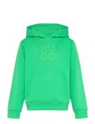 Hooded Sweatshirt Tops Sweatshirts & Hoodies Hoodies Green Hugo Kids