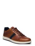 Trint Low-top Sneakers Brown Dune London