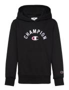 Hooded Sweatshirt Tops Sweatshirts & Hoodies Hoodies Black Champion