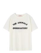 Big Rooster Kid T-Shirt White Logo 10Y Tops T-Kortærmet Skjorte White ...