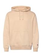 Hooded Sweatshirt Tops Sweatshirts & Hoodies Hoodies Beige Champion