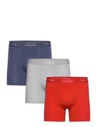 Boxer Brief 3Pk Boxershorts Blue Calvin Klein