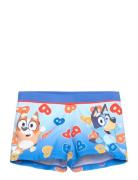 Swimsuit Badedragt Badetøj Blue Bluey
