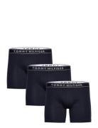 3P Boxer Brief Dtm Boxershorts Navy Tommy Hilfiger