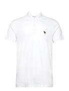Anf Mens Knits Tops Polos Short-sleeved White Abercrombie & Fitch