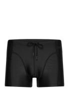 Borg Swim Trunks Badeshorts Black Björn Borg