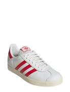 Gazelle Sport Women Sport Shoes Sport Sneakers Sport Low Top Sneakers ...