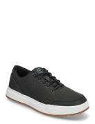 Low Lace Up Sneaker Designers Sneakers Low-top Sneakers Black Timberla...