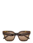Star Glow Solbriller Brown Le Specs