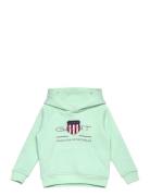 Archive Shield Raglan Hoodie Tops Sweatshirts & Hoodies Hoodies Green ...