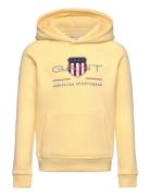 Archive Shield Raglan Hoodie Tops Sweatshirts & Hoodies Hoodies Yellow...