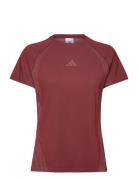 Seamless Tshirt Sport Sport Clothing Sports Tops & T-shirts Sport T-Sk...