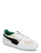 Pl Palermo Pinstripe Sport Women Sport Shoes Sport Sneakers Sport Low ...