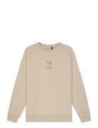 Terra Crew Sport Men Sport Clothing Sport Sweatshirts & Hoodies Sport ...