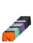 Jactasmania Trunks 12 Pack Boxershorts Blue Jack & J S