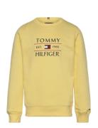 Tommy Flag Hilfiger Sweatshirt Tops Sweatshirts & Hoodies Sweatshirts ...