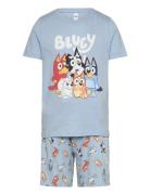 Pyjama Tee Shorts Bluey Pyjamassæt Multi/patterned Lindex
