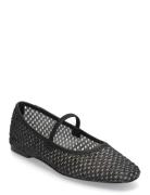 Majorca Ballerina Ballerinasko Ballerinaer Black Steve Madden