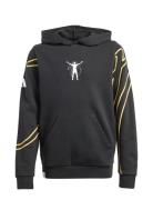 Jb Cw Hd Y Tops Sweatshirts & Hoodies Hoodies Black Adidas Performance