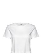 Cropped Fitted Cotton T-Shirt Tops Crop Tops Short-sleeved Crop Tops W...