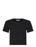 Cropped Fitted Cotton T-Shirt Tops Crop Tops Short-sleeved Crop Tops B...