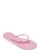 Viva Iv Shoes Summer Shoes Sandals Flip Flops Pink Roxy