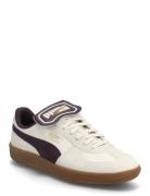 Palermo Premium Sport Women Sport Shoes Sport Sneakers Sport Low Top S...