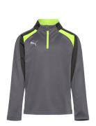 Individualliga 1/4 Zip Top Jr Tops T-shirts Long-sleeved T-Skjorte Gre...