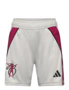 Jb Tiro Sho Y Sport Shorts Sport Shorts Grey Adidas Performance
