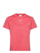 Id Train Tee Sport Sport Clothing Sports Tops & T-shirts Sport T-Skjor...