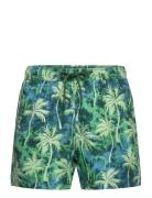 Borg Print Swim Shorts Badeshorts Green Björn Borg