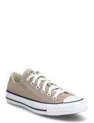 Chuck Taylor All Star Sport Sport Shoes Sport Sneakers Sport Low Top S...