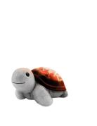 Tim The Turtle Projector Home Kids Decor Lighting Night Lamps Brown ZA...