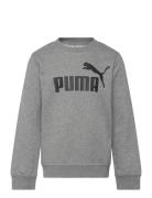 Ess No. 1 Logo Crew Tr B Sport Sweatshirts & Hoodies Sweatshirts Grey ...