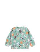 Disc Tops Sweatshirts & Hoodies Sweatshirts Green Molo